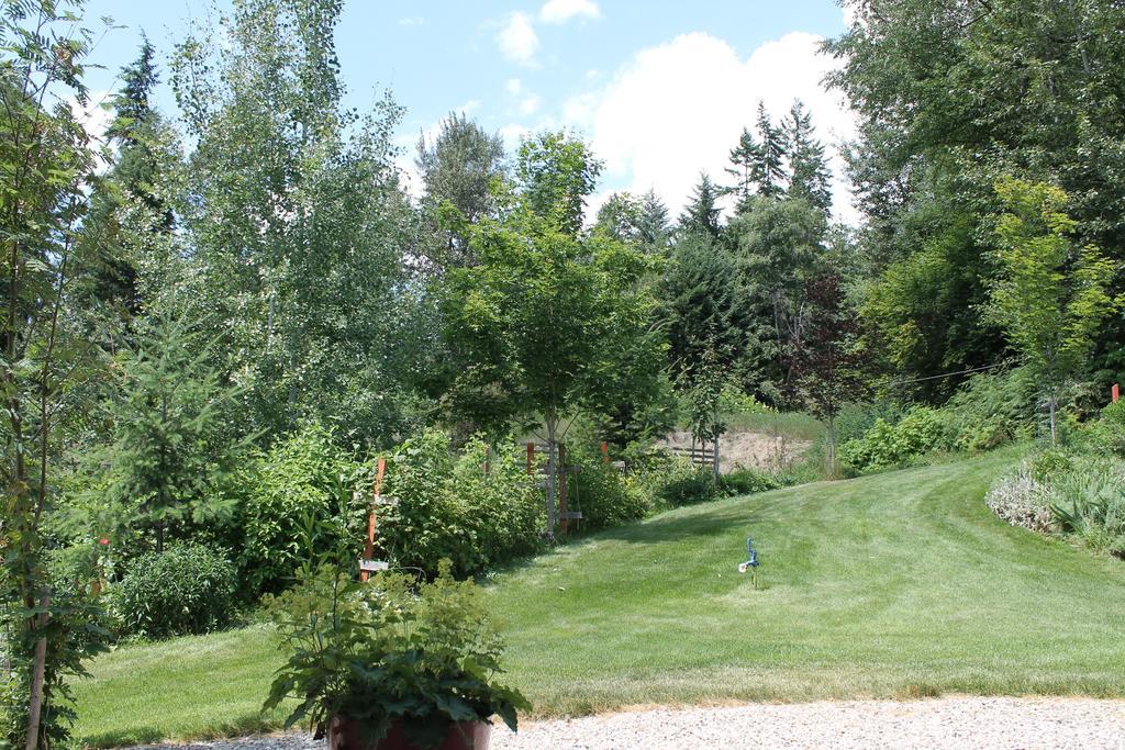 Windborne Bed & Breakfast Castlegar Zewnętrze zdjęcie
